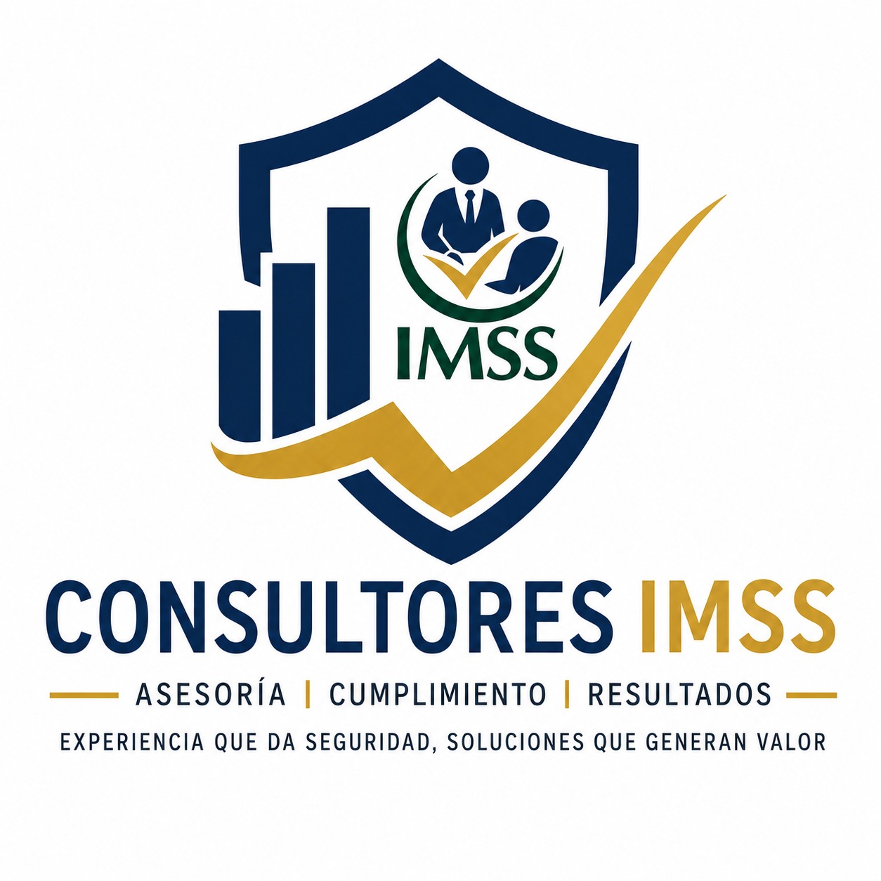 Consultores IMSS
